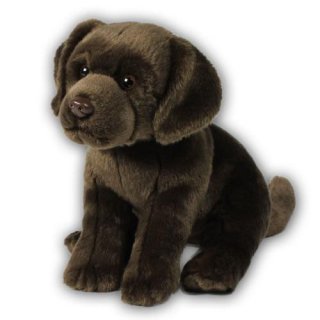 ACP Labrador braun 26cm