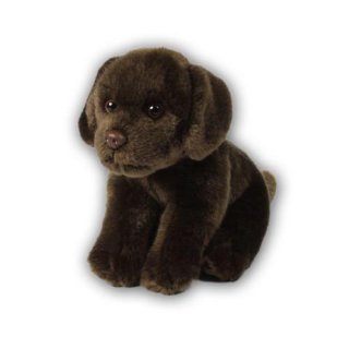 ACP Labrador braun 20cm