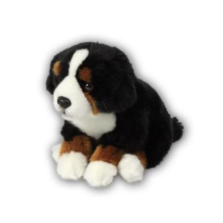 ACP Berner Sennenhund 20cm